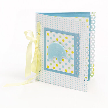 Baby Boy Brag Book Designed By Martha Stewart Crafts