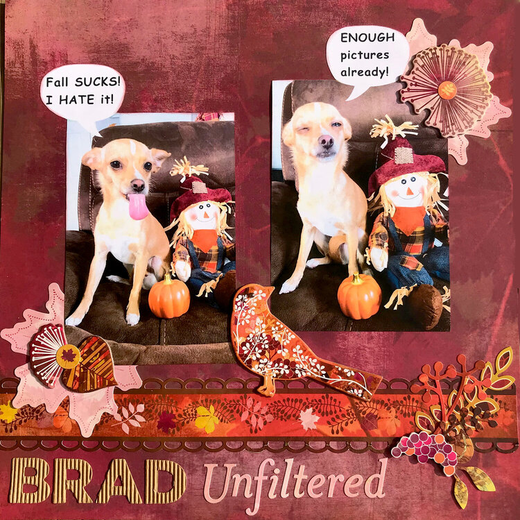 Brad Unfiltered