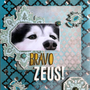 Bravo Zeus!