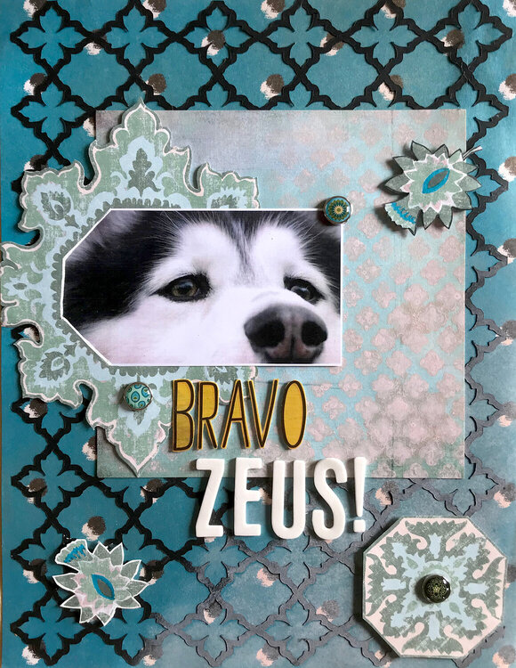 Bravo Zeus!
