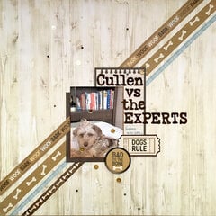 Cullen vs the Experts