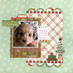 all I want for Christmas . . .