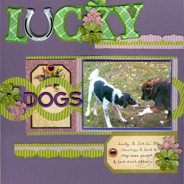 Lucky Dogs