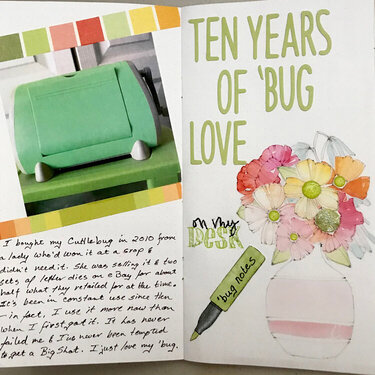 Ten Years of &#039;Bug Love