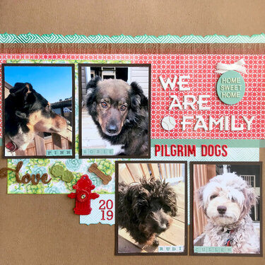 We Are Family: Pilgrim Dogs
