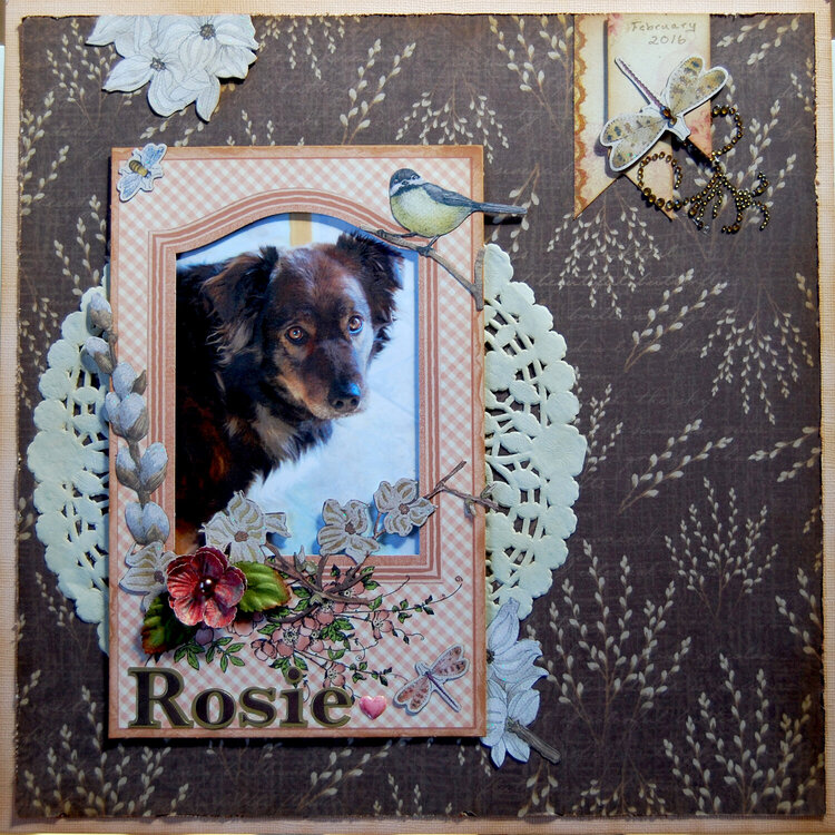 Rosie (spring LO)