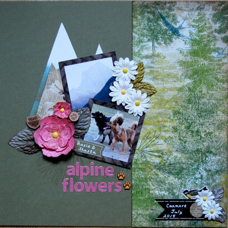 Alpine Flowers