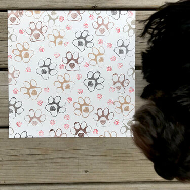 DIY Patterned Paper (with dog for scale ;-)