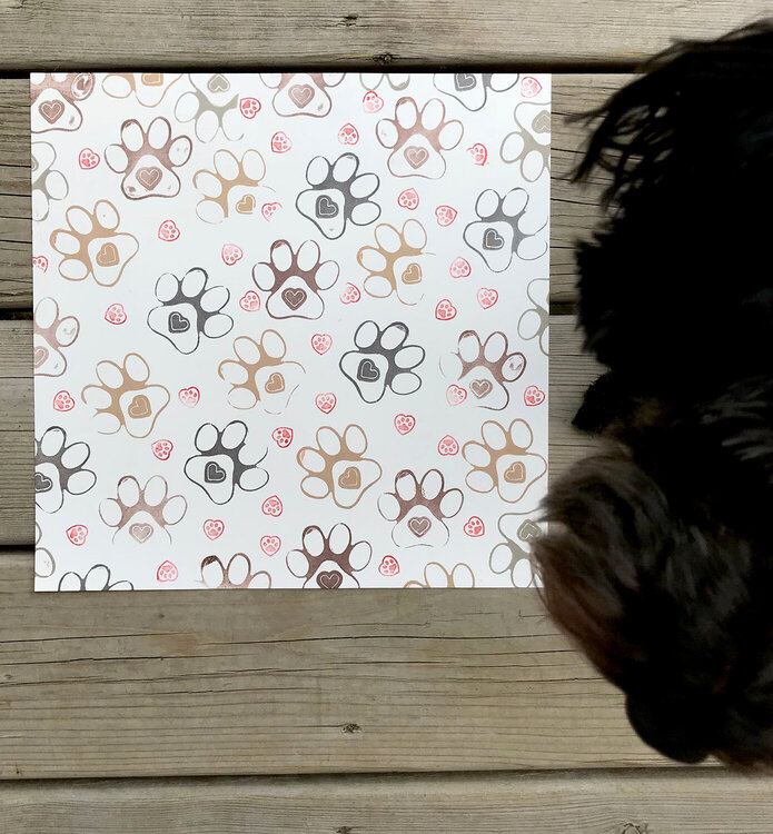 DIY Patterned Paper (with dog for scale ;-)