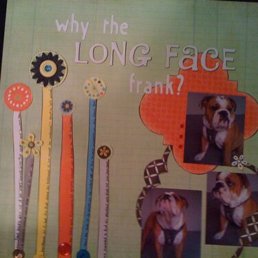 Why the Long Face Frank?