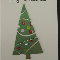 Jesse's Christmas Card