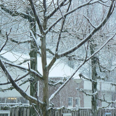 Snow in the Netherlands 4