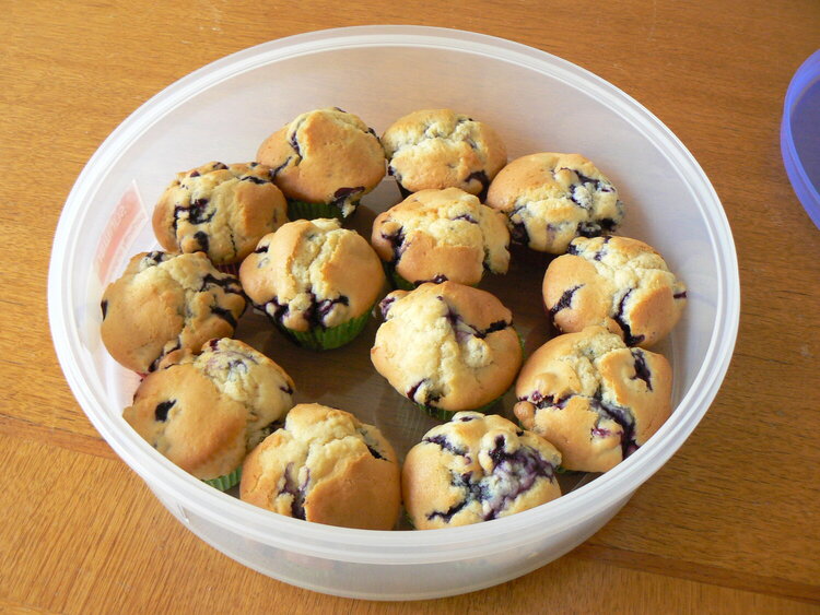 Blueberry Muffins!