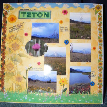 Grand Teton in bloom!