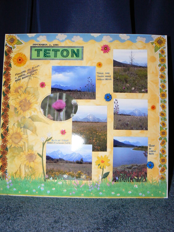 Grand Teton in bloom!
