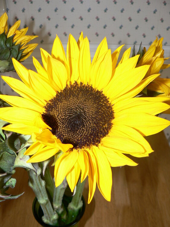 S - Sunflower (Flowers for my mom - 1)