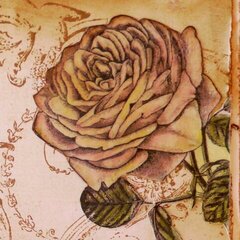 LaBlanche Rose Blossom