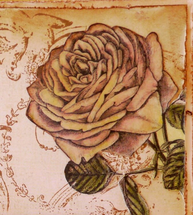 LaBlanche Rose Blossom