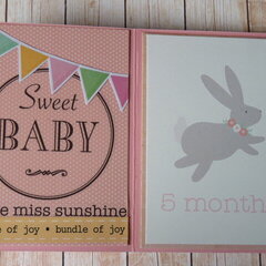 Baby first year mini album