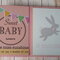 Baby first year mini album