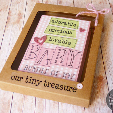 Baby first year mini album