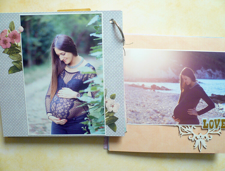 Pregancy mini album