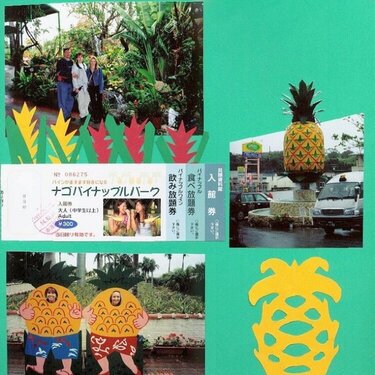 Pineapple Park Rainforest