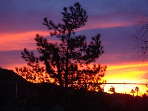 Sunset in Joshua Tree Ca