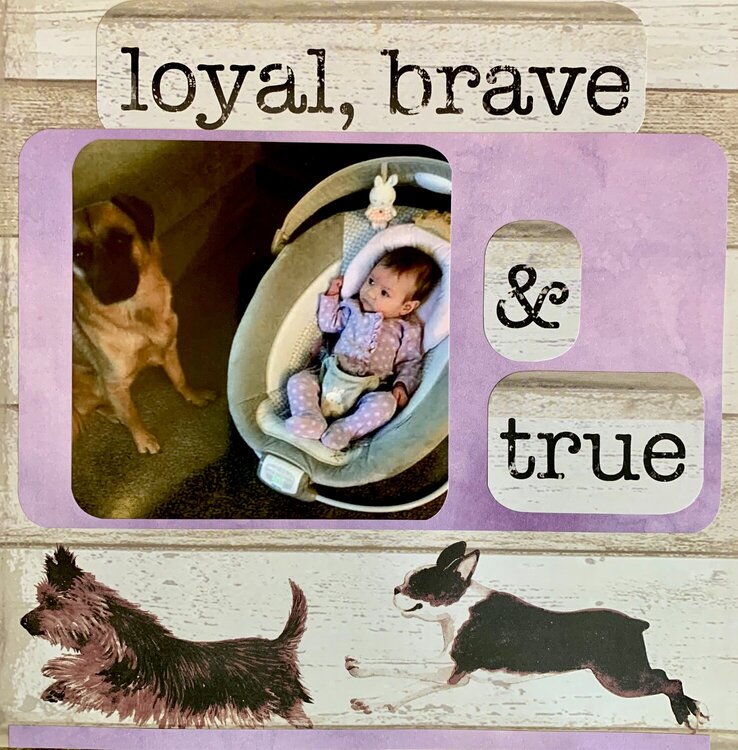 Loyal, brave, and True
