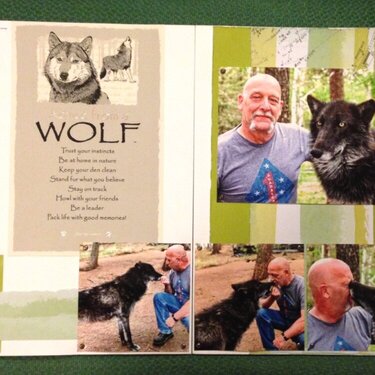 Colorado Wolf and Wildlife Center