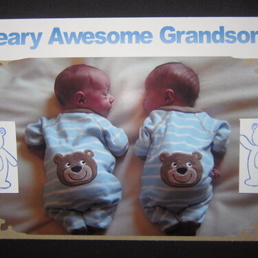 Beary Awesome!