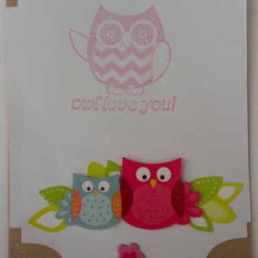 Owl Love You!
