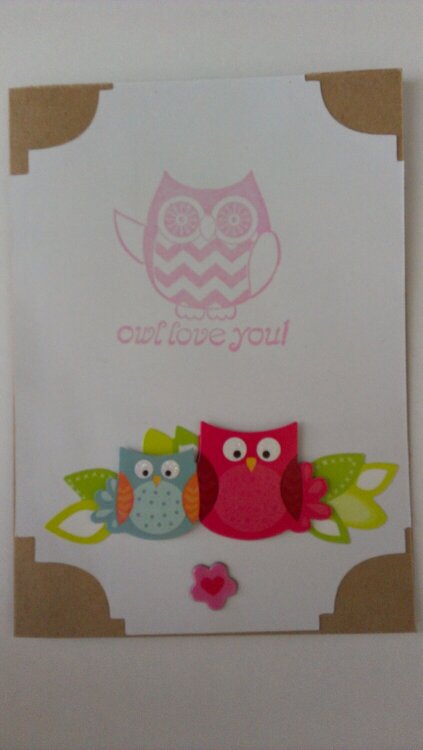 Owl Love You!