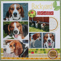 Backyard Beagle