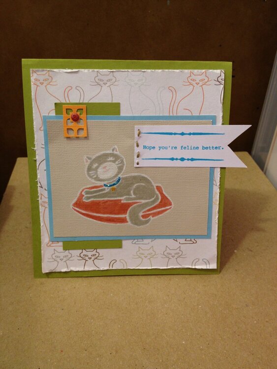 Hope You&#039;re Feline Better Card