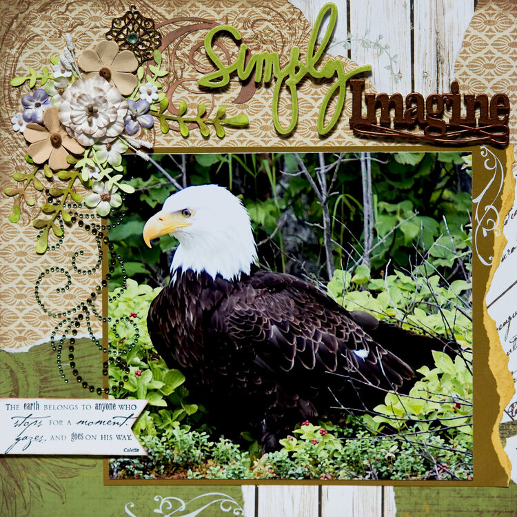 Simply Imagine. . . Eagles, Talkeetna, Alaska - LEFT SIDE