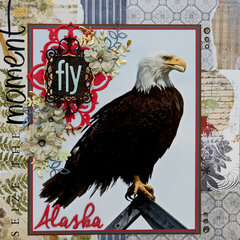 Fly - Alaska Eagles - LEFT SIDE