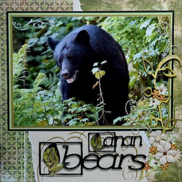 Bears, Anan Creek, Alaska - LEFT SIDE