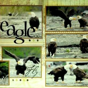 Eagle Preserve, Alaska