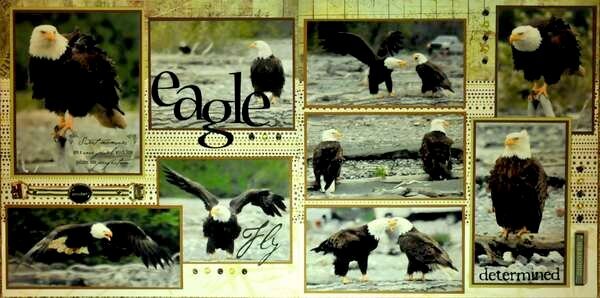 Eagle Preserve, Alaska