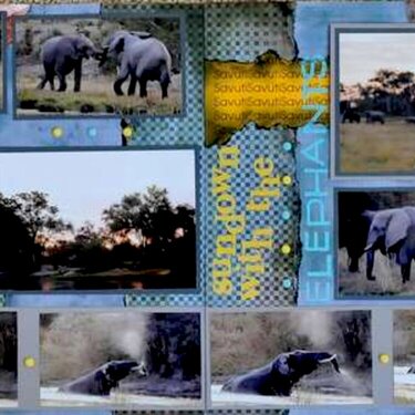 SAFARI - Botswana Elephants. . .