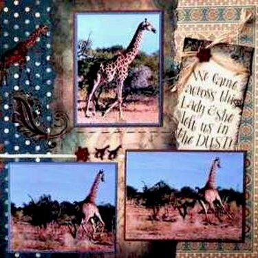 SAFARI - Botwsana Giraffe - RIGHT SIDE
