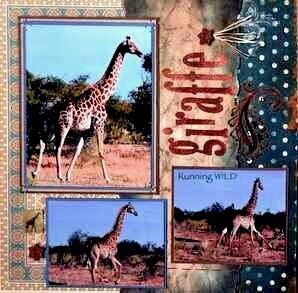 SAFARI - Botwsana Giraffe - LEFT SIDE
