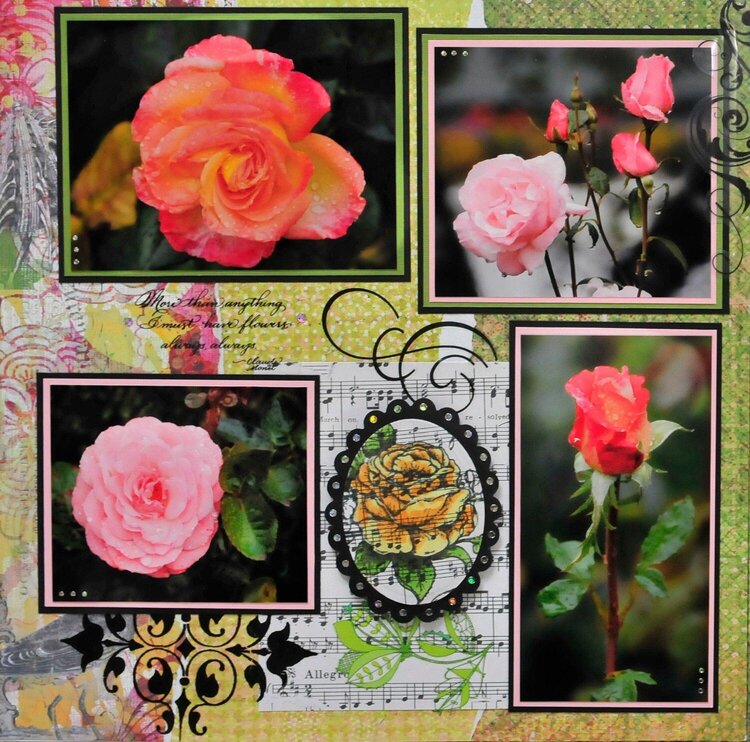 Roses - Buchart Gardens, Victoria BC - LEFT SIDE
