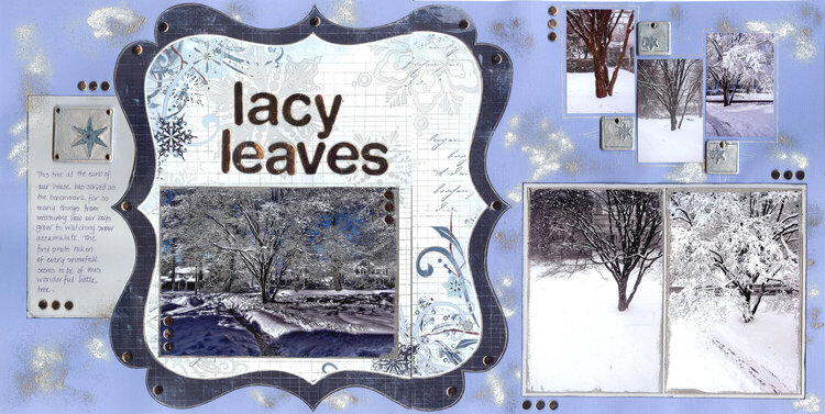 lacy leaves