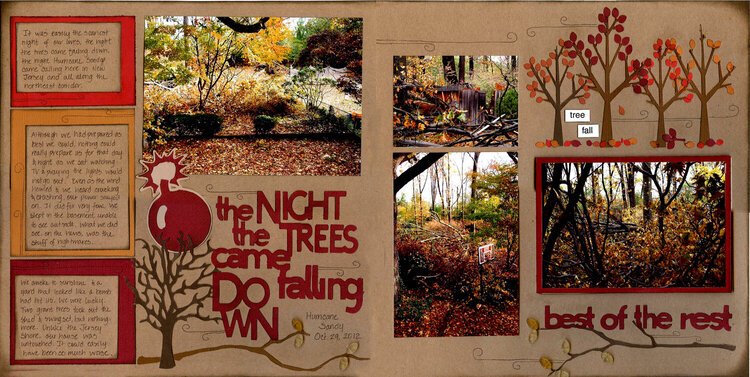The Night The Trees Came Falling Down
