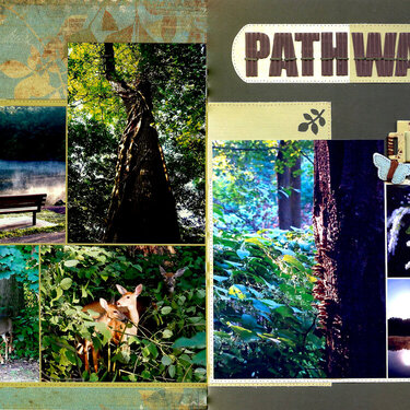 Pathwalk