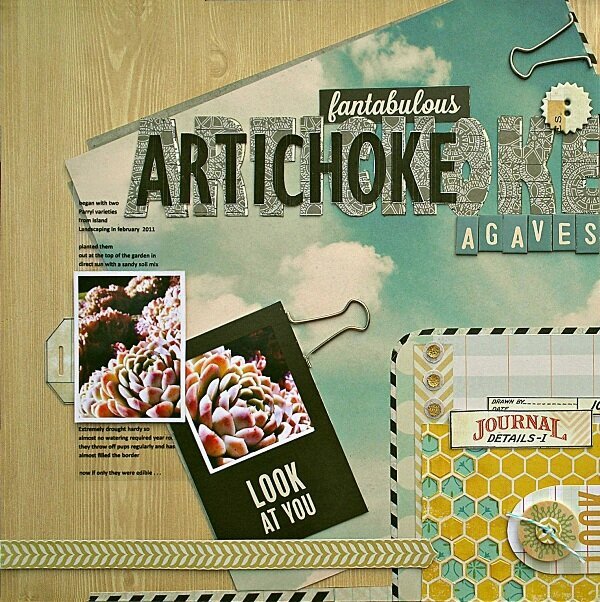 Artichoke Agaves (Citrus Twist Kit)