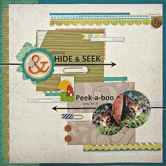 Hide & Seek (Citrus Twist Kit)