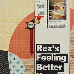 Rex's Feeling Better Now (Citrus Twist Kit)